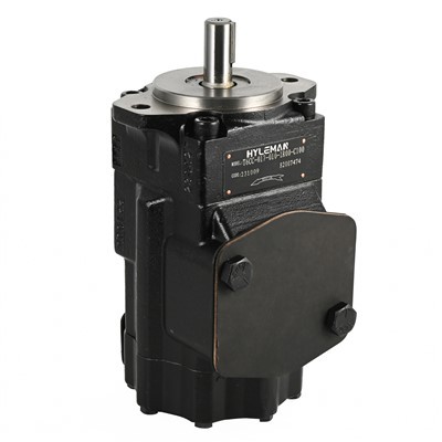 Αντλίες διπλών πτερυγίων