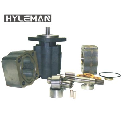 P30/31 Υδραυλικό γρανάζι Αντλία ανταλλακτικών 312-8215-100