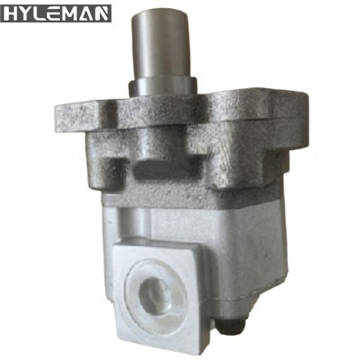 Υδραυλικά ανταλλακτικά μονόστροφης αντλίας Ap2d36