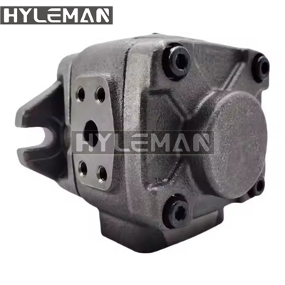 VG Series Servo συνδυασμένη αντλία τύπου